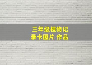 三年级植物记录卡图片 作品